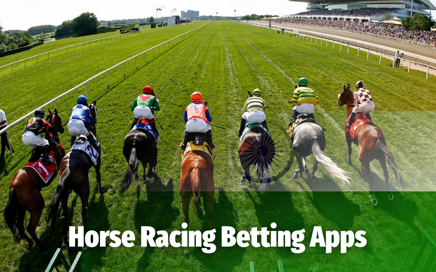 Horse Racing Betting Apps